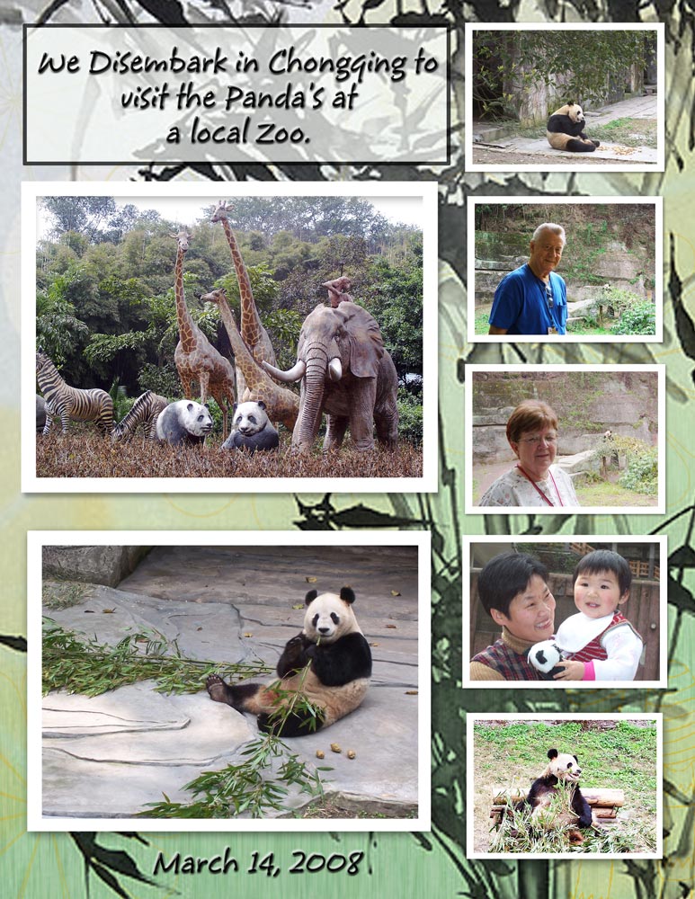 Chongqing---Pandas-March-1.jpg