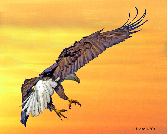 EAGLE AT SUNSET