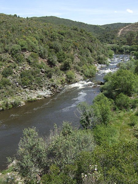 Rio Sver