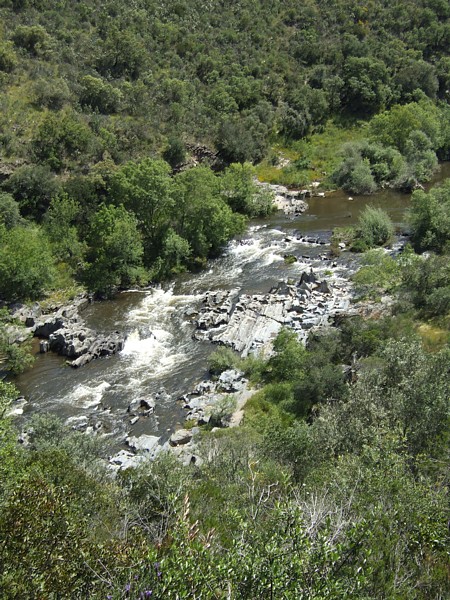 Rio Sver