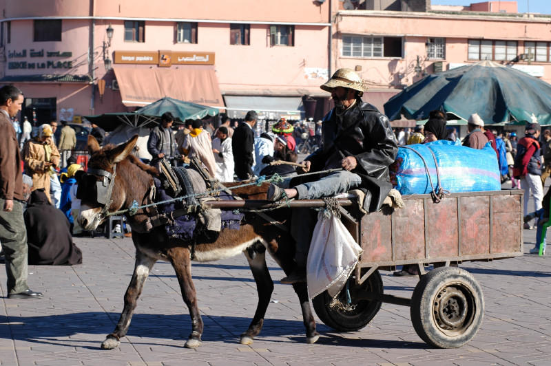 IMG0025.JPG