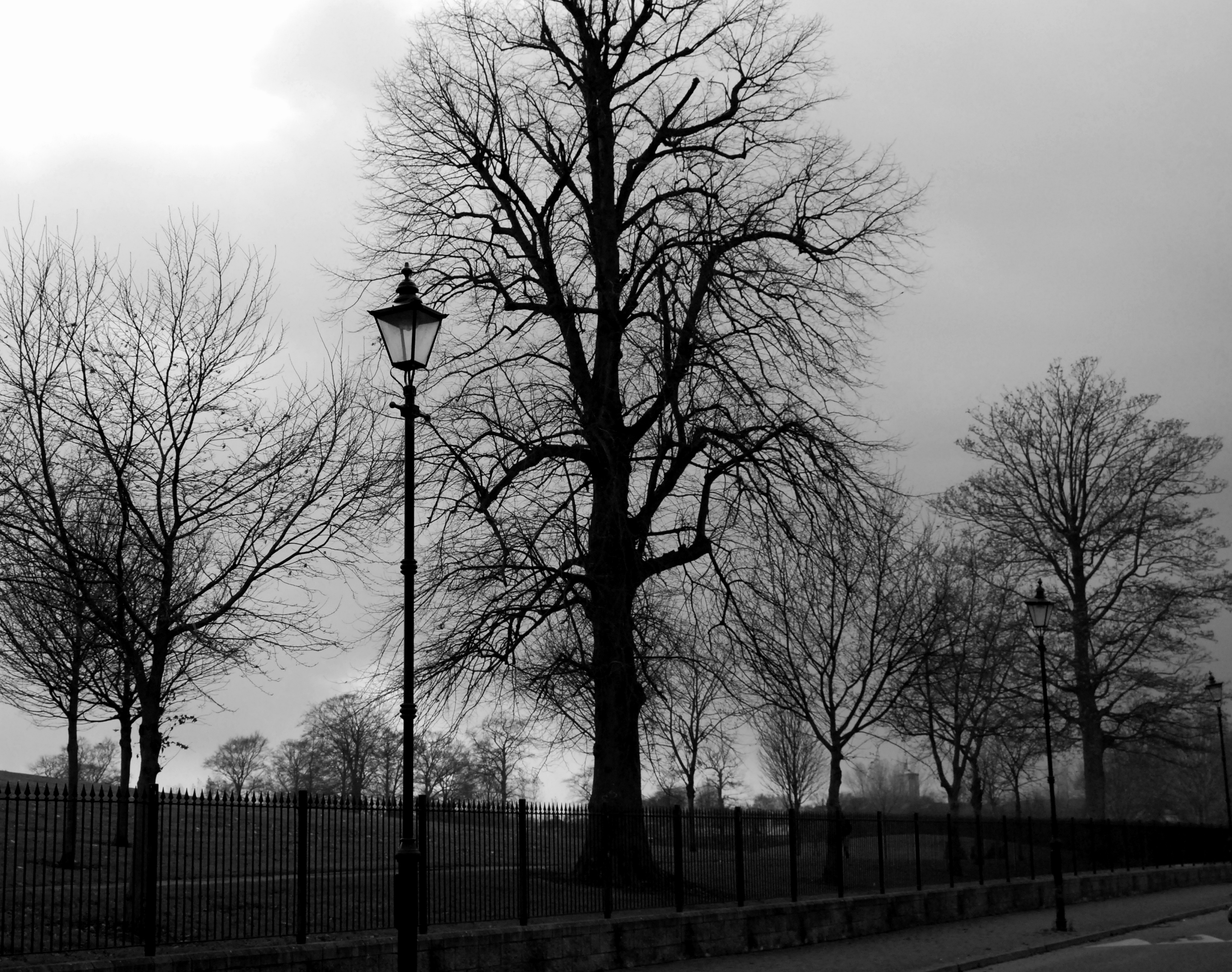 Park View