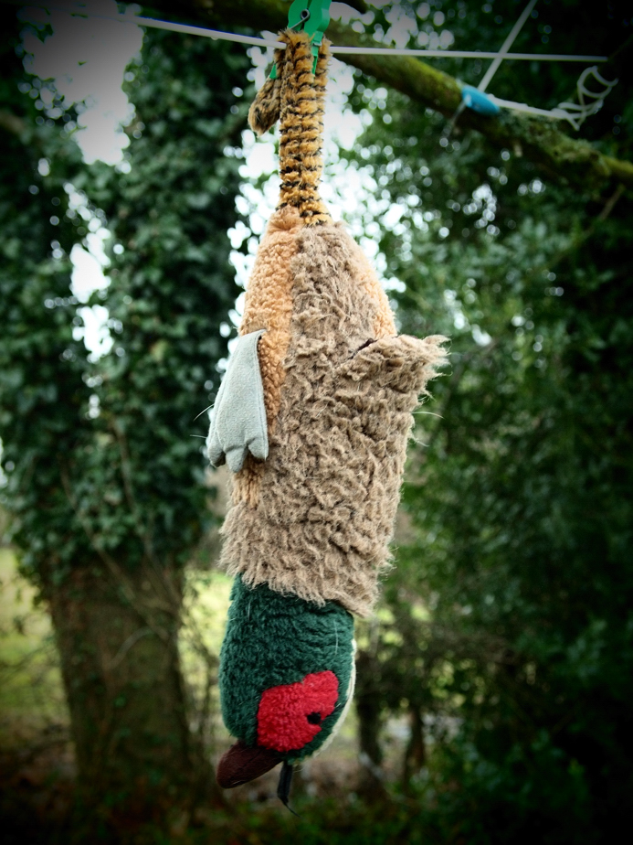 Hanging the Pheasant