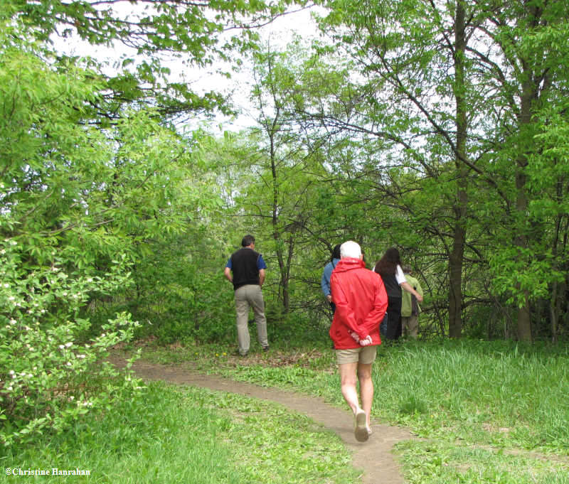 Garlic mustard day