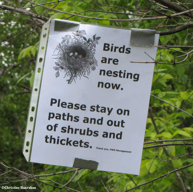 Birds nesting sign