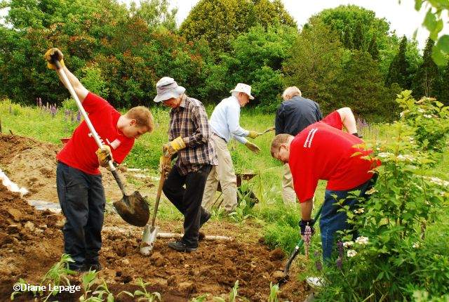 Volunteers planting the Butterfly Meadow