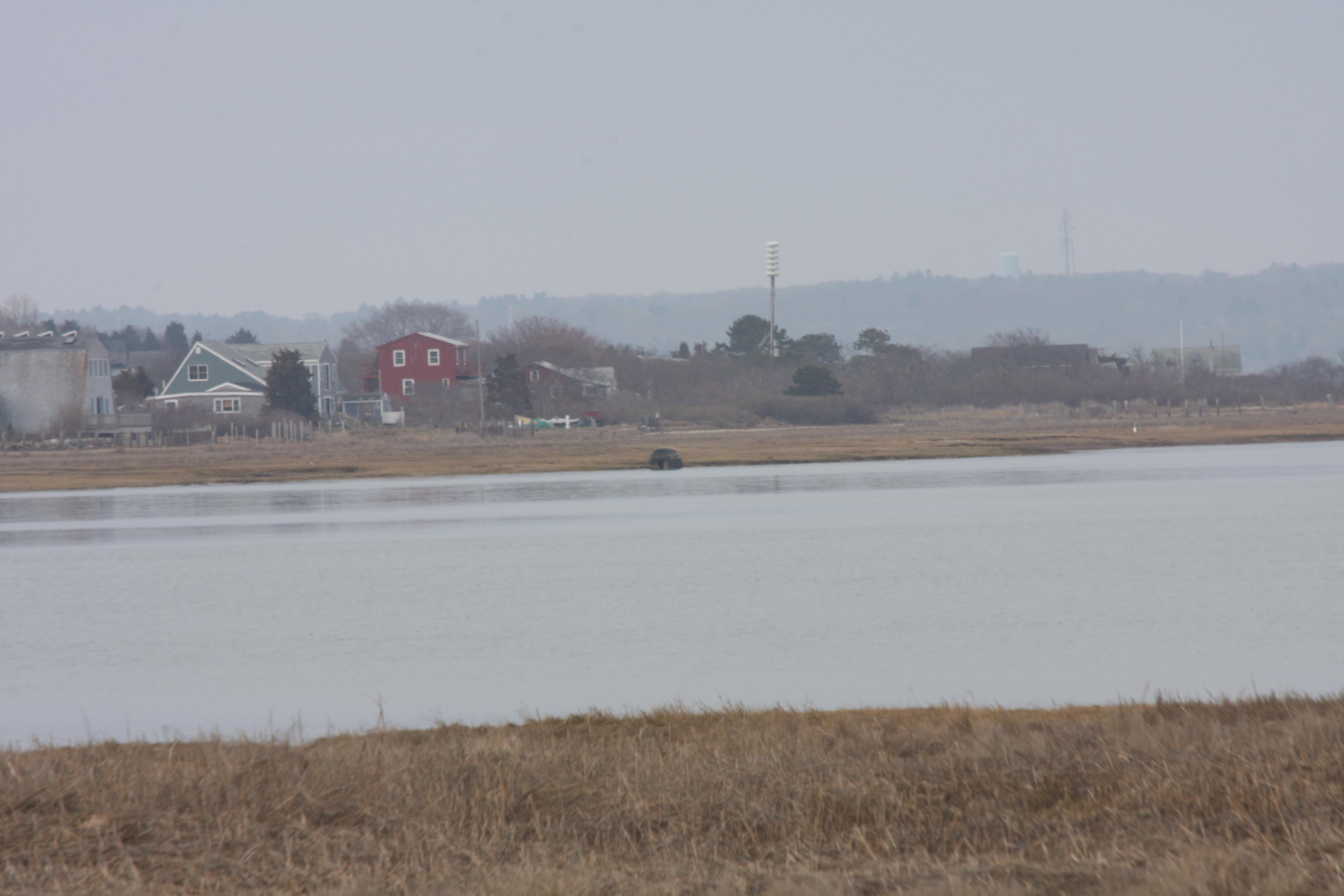 Huge tire on Saquish  April, 2011