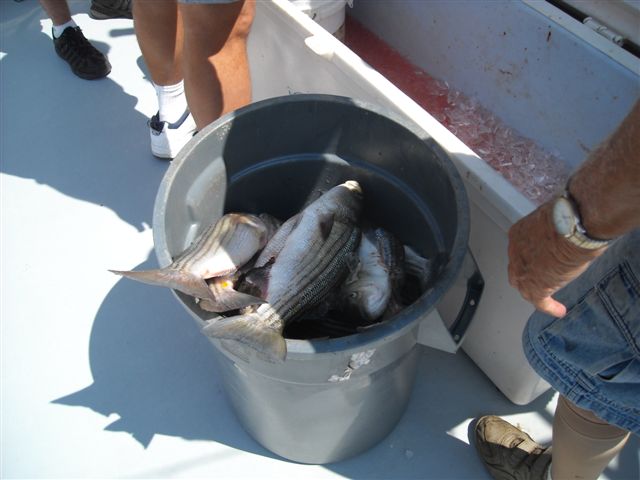 Wild Goose Charter August 7 2010 1373.JPG