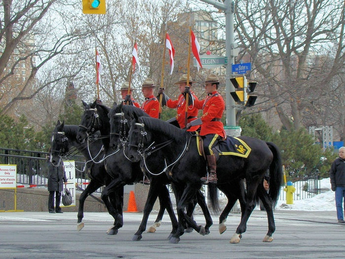 The Funeral Procession