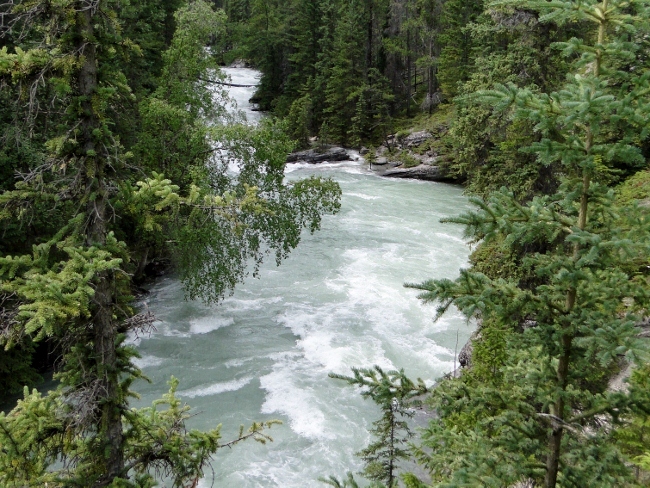 Looking down the Maligne Canyon