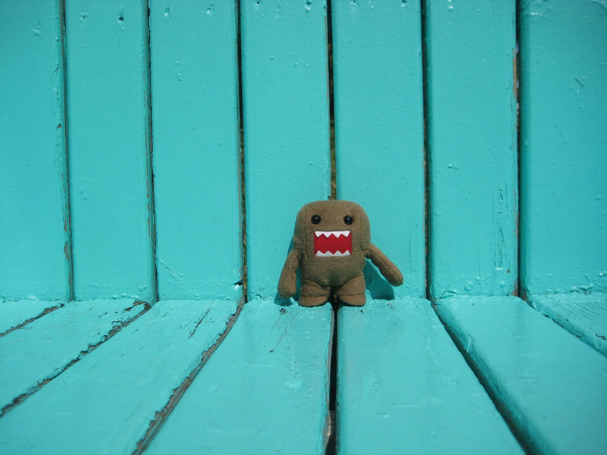 Domo-kun on South Beach, Florida