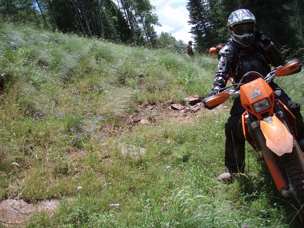 P7312298.jpg
