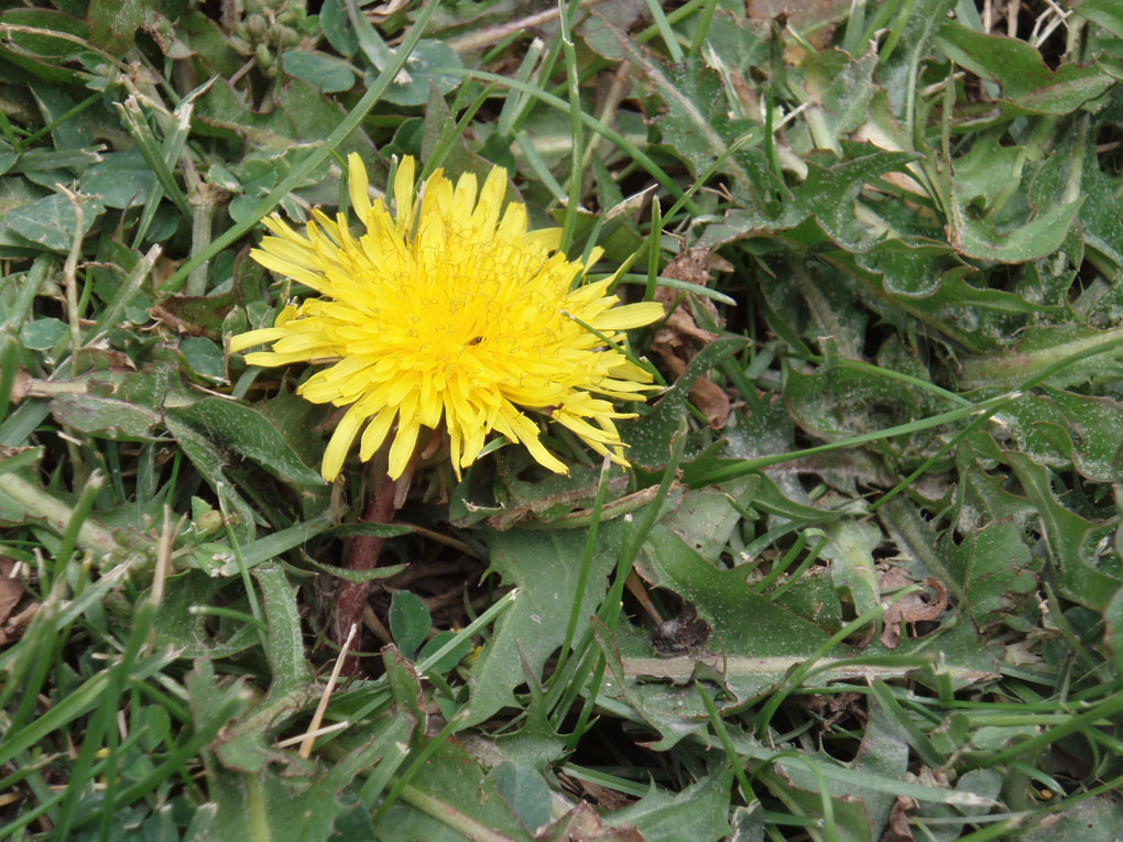 P8022343.jpg