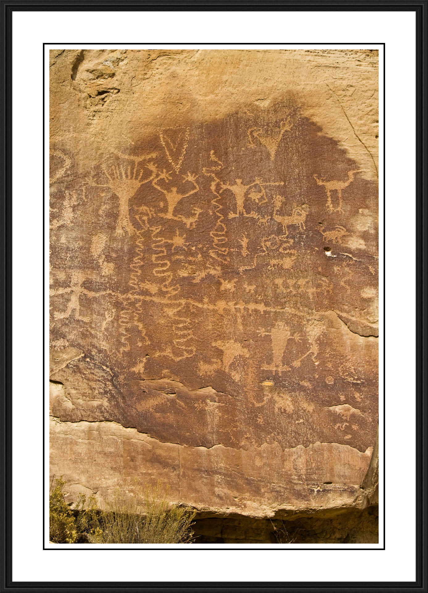 Nine Mile Canyon Panel