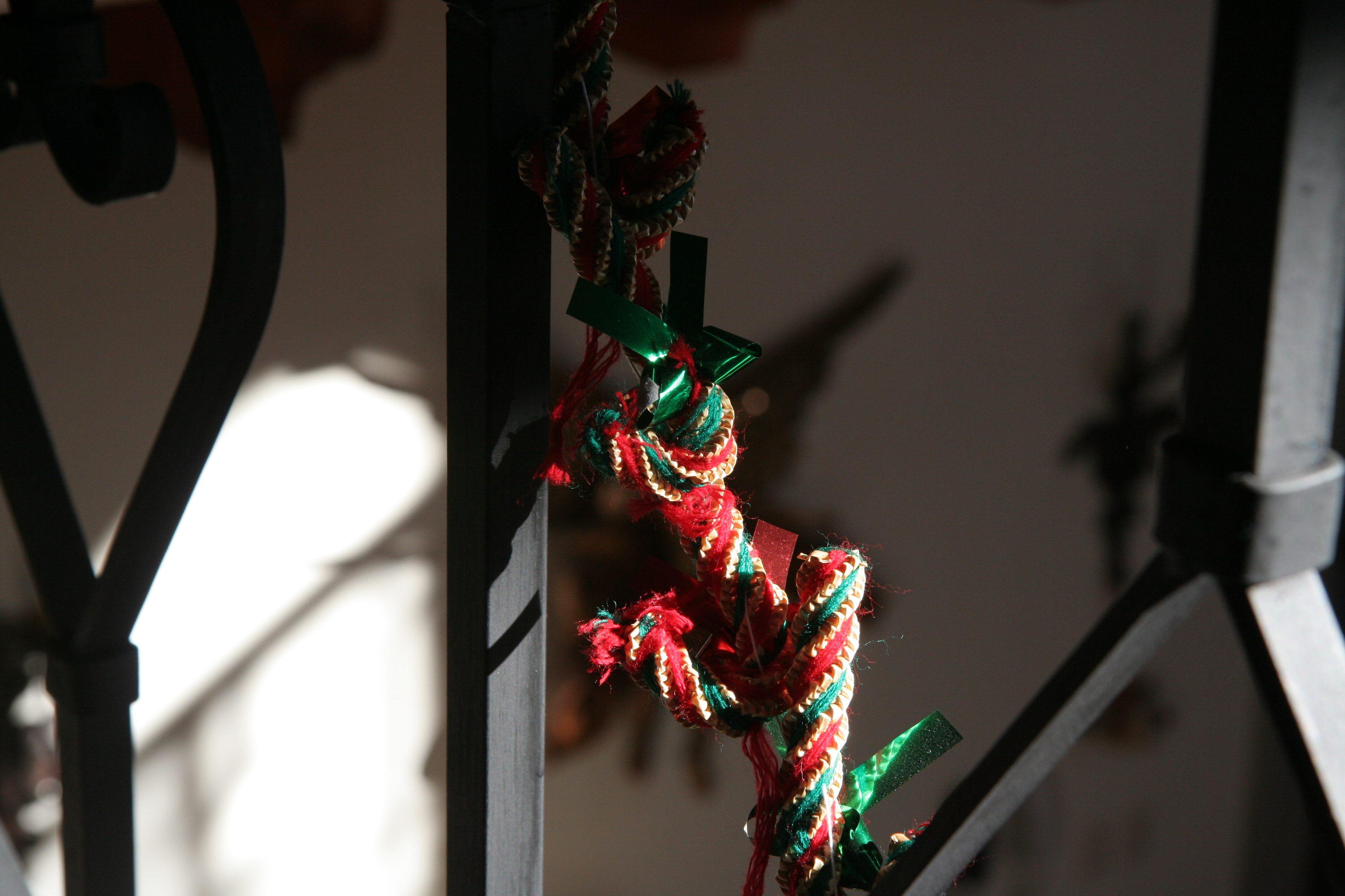 IMG_6643.JPG