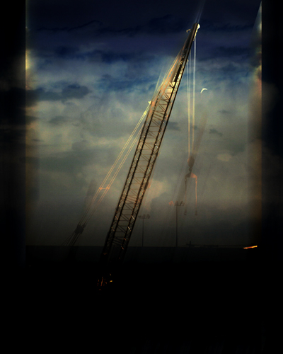 Crane 5336_5864.jpg