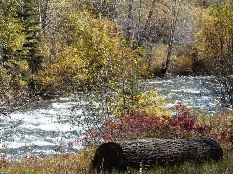 River near Bailey, CO