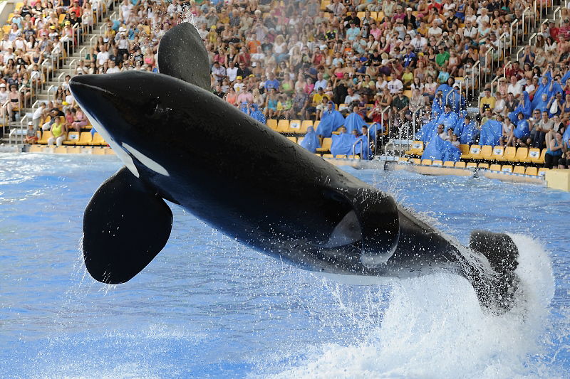 Loro Parque