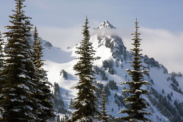 A Towering Peak