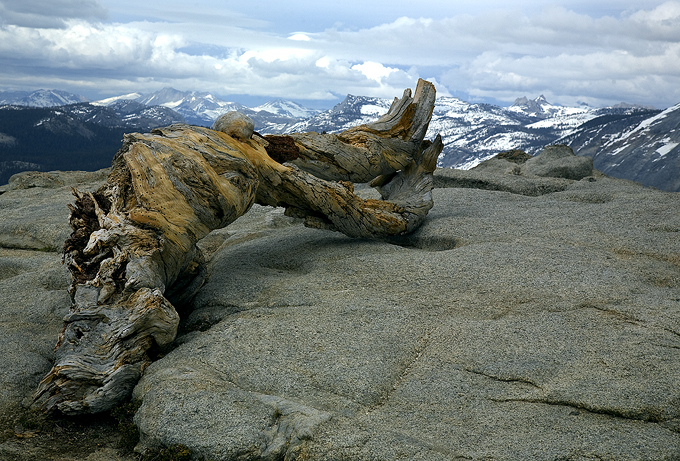 View From Sentinel Dome