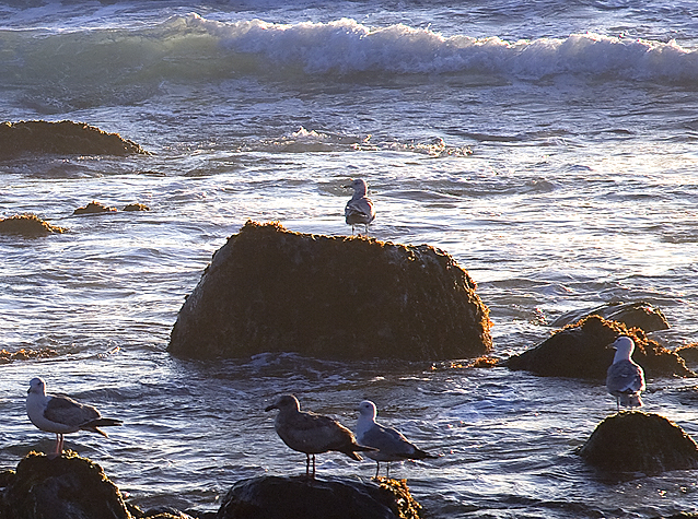 Sitting On The Rocks