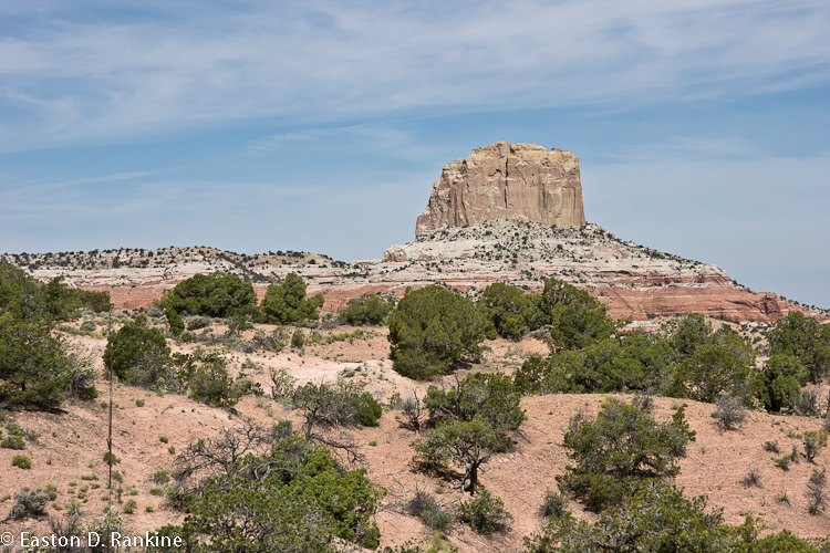 _DSC2987