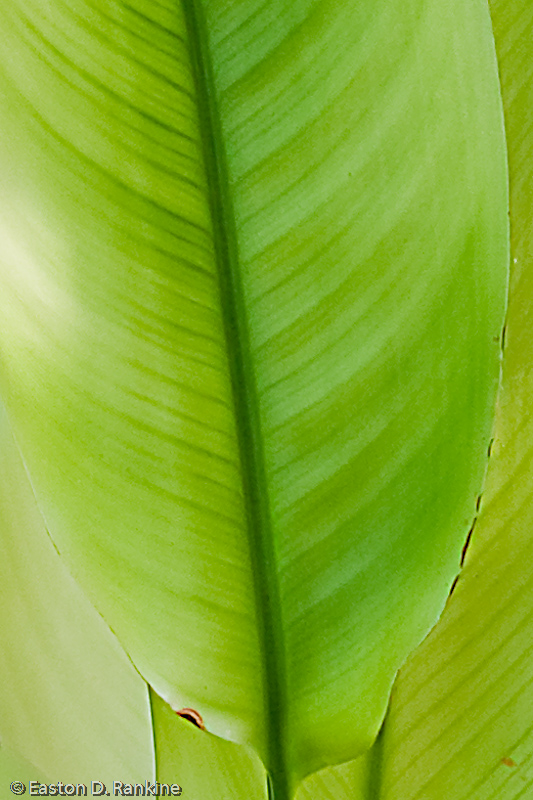 _DSC9466-Edit.jpg