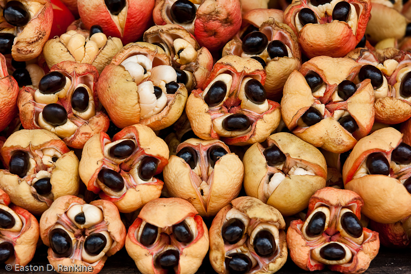 Ackee