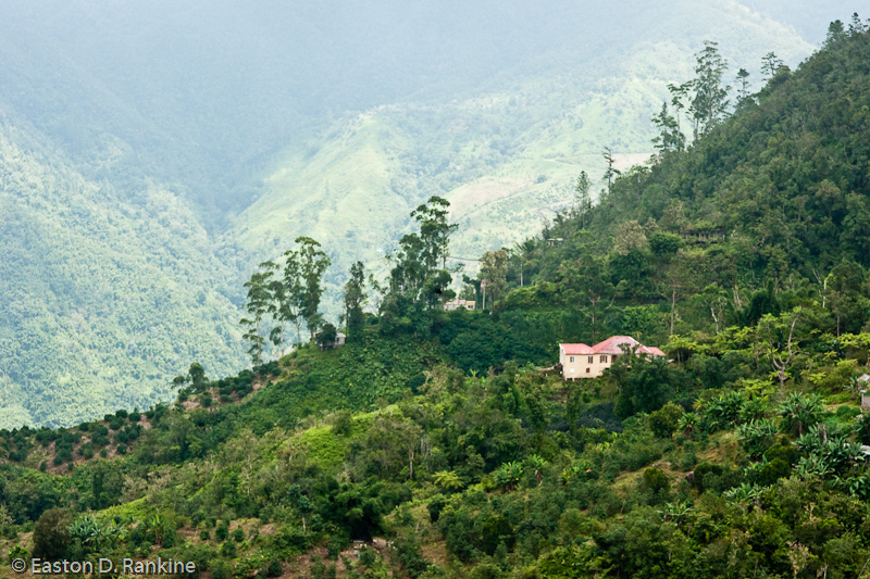 _DSC0483-Edit.jpg