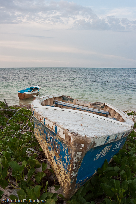 _DSC0696-Edit.jpg