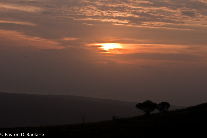 From the Santa Cruz Mountains II