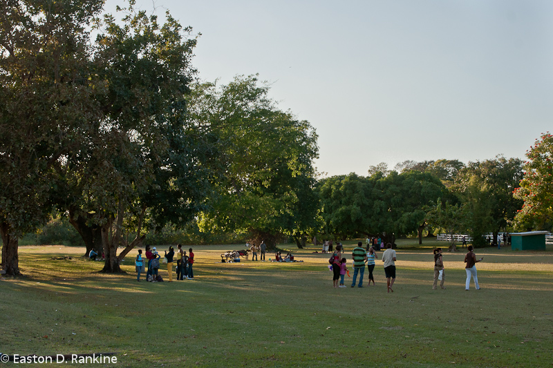 DSC09657.jpg