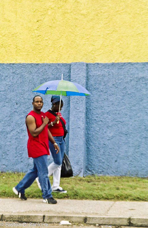 Umbrella