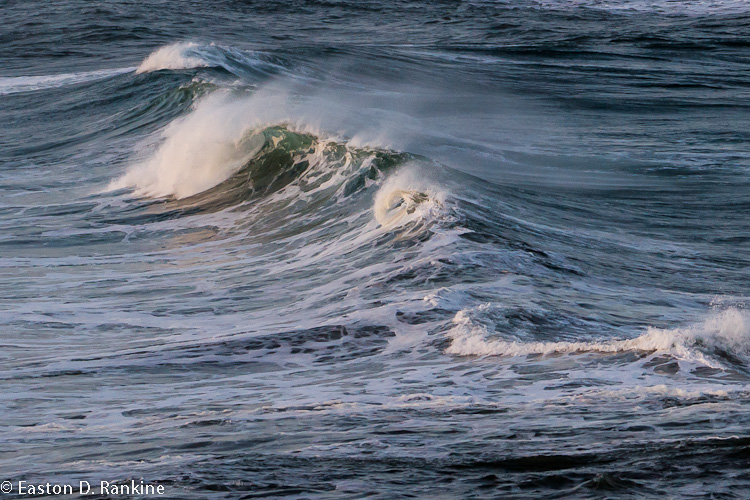 Wave - Number 04