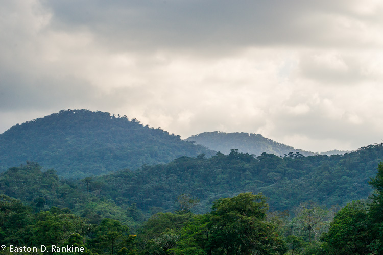 Mountains with Rainclouds I