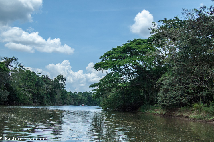Rio Frio II