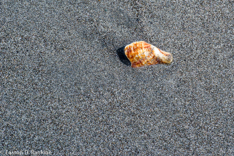 DSC00316.jpg