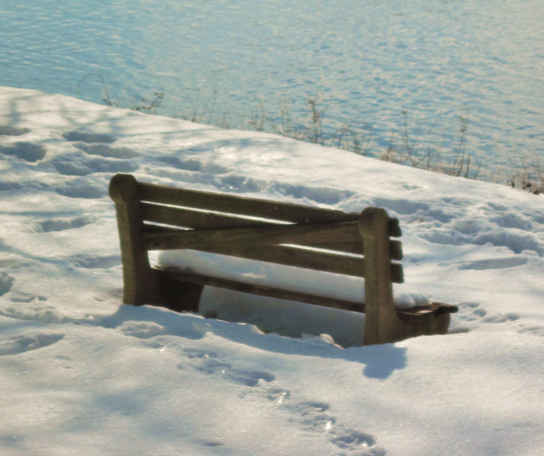 Snowy Bench