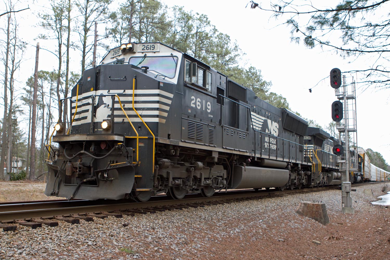 NS 2619