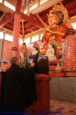 IMG_3151c.jpg