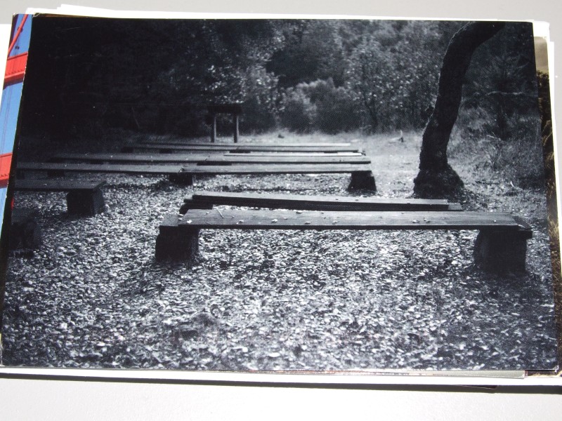 Postcard: Bench in the Woods