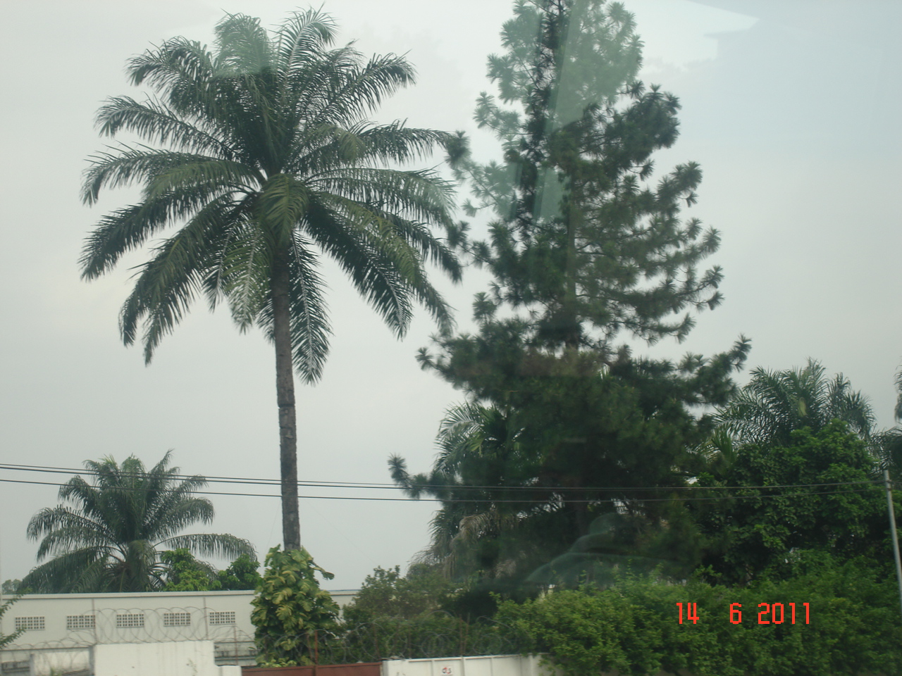 DSC06434.JPG