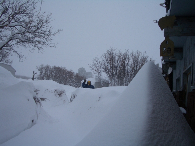 Frank peeking over<BR>a snow bank