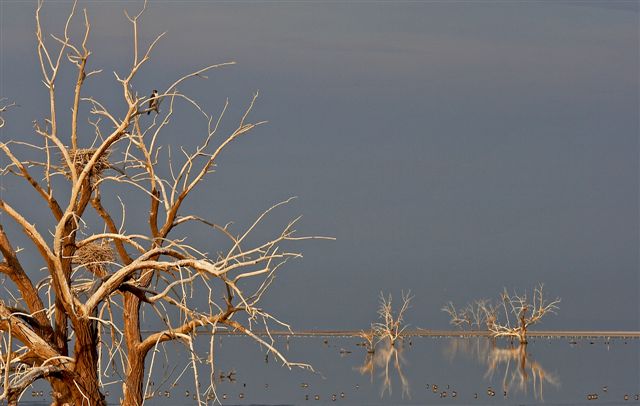 Saltan Sea.jpg
