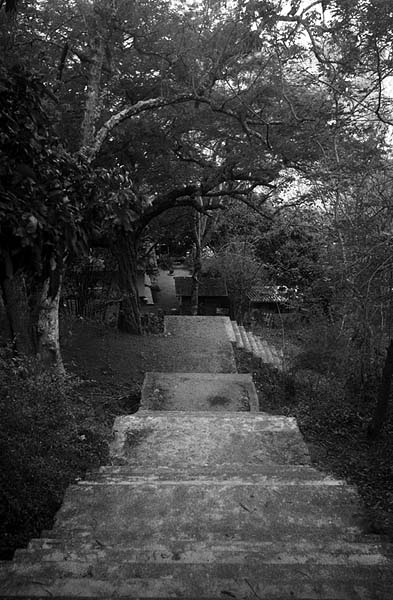 phattalung temple stairs.jpg