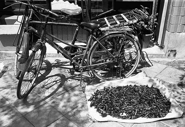 bikes and peppers.jpg
