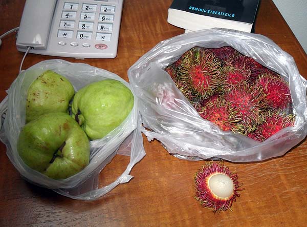 rambutan and guava.jpg