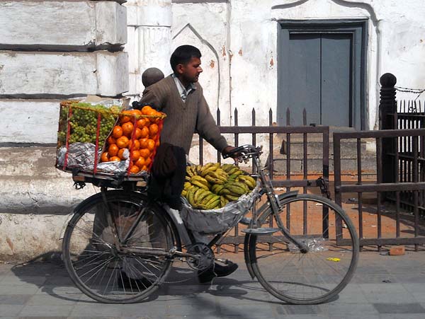bicycle fruit.jpg