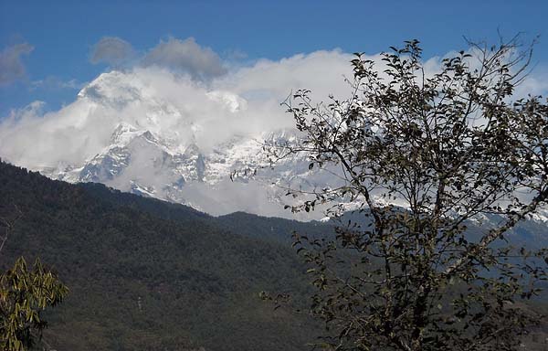 himalayan massive.jpg