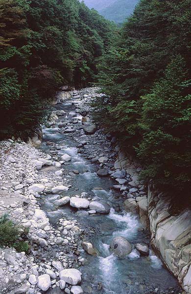river near agematsu.jpg